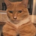 emoji_21 custom emote | Chill Hub