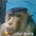 emoji_19 Discord Emoji - 3rbjh community