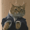 37023catsuit animated Discord emote | The Nerd Dungeon: LGBTQ+, Dating, 18+, and Dungeons