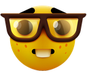 5368nerd custom emote | CarpetSMP
