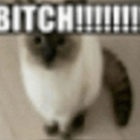 Bitch custom emote - District 20