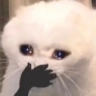 4_catohmy custom emote - FAAAHHHH