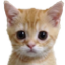 wuh Discord Emoji from 𝗖𝘂𝗱𝗱𝗹𝘆 𝗖𝗿𝗶𝘁𝘁𝗲𝗿𝘀