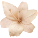 0_flower Discord sticker - gooncord