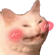 emoji_98 Discord Emoji from ☘ 𝕄𝕀𝔻ℕ𝕀𝕄𝕆 ☘