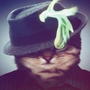 Cat wearing a dark fedora with a glowing green feather, looking mysterious.