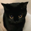 PleadingKitty Discord Emoji - ⋆˙⟡ 𝙁 𝙀 𝙍 𝘼 𝙇