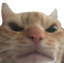 cattucjan Discord Emoji | 𝘙𝘌𝘈𝘓𝘐𝘛𝘠 𝘈𝘞𝘈𝘐𝘛𝘚... but after 24.7
