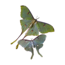 ec5dd056c7a90fb2d653cc240ef0b500 Discord sticker - mrrp