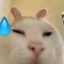 cabbit Discord Emoji | Động Ếch Của Nhi Elly