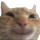 smile custom emote | Apex Racing