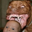 A snarling dog with bared teeth looms over a baby with wide, terrified eyes.