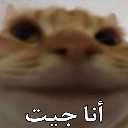emoji_21 custom emote - 𝐃𝐫𝐚𝐠𝐨𝐧 𝐊𝐢𝐧𝐠  | S1