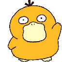 psyduck_5 animated Discord emote - caleb stickers