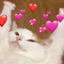 B_Cathearts custom emote | SocialBar | Active Chat • VC Calls • Gaming • Emotes • Hangout • Egirls • Chill • Fun • Friends