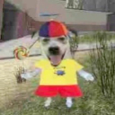 A happy dog wearing a colorful hat and yellow shirt standing in a field.