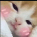 A close-up of a kitten with bright pink blush marks on its cheeks looking shy.