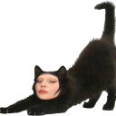 Lady Gaga's face photoshopped onto a black cat stretching its body.