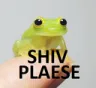 SHIVPLEASE Discord Emoji from ⁽¹⁸⁺⁾ miao ୨ৎ