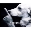 Dog holding a paw to its mouth in a shushing gesture with the text nao grita below it.