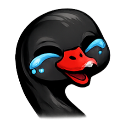 Black swan with a red beak laughing with bright blue tears streaming down its face.