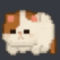 rollingCat animated emote from Lucid Love ☾  Relationship ⭑ Social ⭑ Gaming ☽