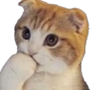 cat_think Discord Emoji from Hamara Server