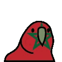 4246_moroccoparrot animated GIF emoji from Tussna ⵣ