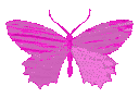 Four pixelated butterflies in various shades of vibrant pink arranged in a horizontal row.