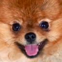 0_TeddySmile Discord Emoji | DM Request 📪 ⌇ Ask To DM & Chatting ⌇ Non Dating ⌇ Social ⌇ Friendly ⌇ Nitro ⌇Non Toxic