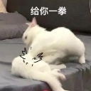 emoji_63 Discord Emoji - 遊戲小鎮