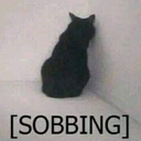 sobbing_catto custom emote - ⋆˚𝜗 night owls 𝜚˚⋆