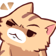 A brown cat with a smug, suspicious expression and narrowed eyes.