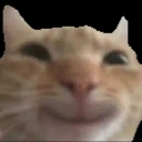 emoji_101 custom emote - #  `  𝗞𝗡𝗗𝗞 𝗙𝗮𝗺𝗶𝗹𝘆