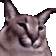 2x1 animated Discord emote | 🦄🌸Gatos Cósmicos🌸🦄