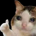 gato custom emote from Messi Official