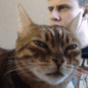 huhcat Discord Emoji from Cozy Cavern