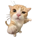 53232meo Discord Emoji from Chi on air
