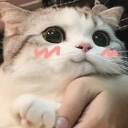 what Discord sticker | ✨КиберЛапки🎮