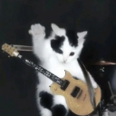 A black and white kitten standing on its hind legs playing an electric guitar.