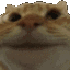 stare_yes animated GIF emoji | Autism Mansion