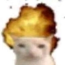 catexplosion custom emote | Goober N' Chill 🐌