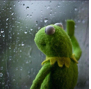 sad_frog custom emote from Auralis ✦