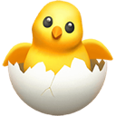 A small yellow chick with large eyes peeking out from a cracked white eggshell.