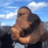 hype animated Discord emote | Vine(yl)💽