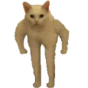 CatStand custom emote | DM Request ¹⁸⁺  📪 ⌇ Adult Only  ⌇ sᴘʀᴇᴀᴅ Love ⌇  Non Toxic  ⌇Connection  ⌇ 𝓷𝓸𝓷  Dating