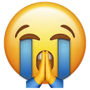 CryingPray Discord Emoji from BDRP I Border Roleplay