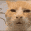 emoji_17 animated emote - Home Lounge™┃Social☀ • Gaming🎮 • Rewards🏆┃Where You Belong🏠.....♡