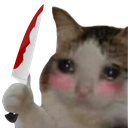 50886catstab Discord sticker - Nexus
