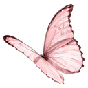 z_pinky_butterfly Discord Emoji | Lovers Cafe™ | Indian Discord Server • Nitro • Voice Chat • Active • India • Hangout • Gaming • SFW